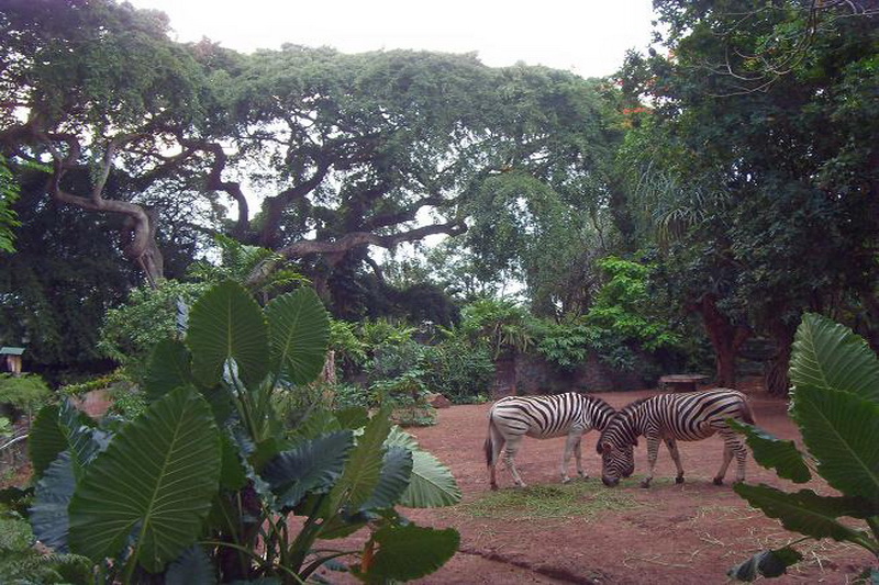 Sri Lanka, Colombo, Dehiwala Zoo